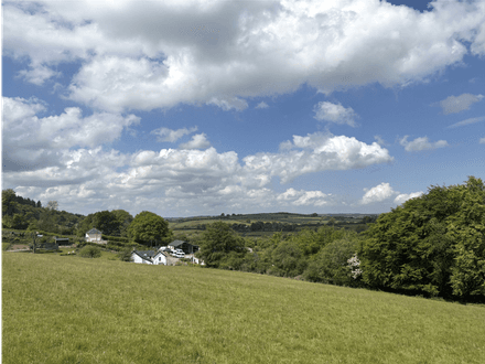 Martins Meadow