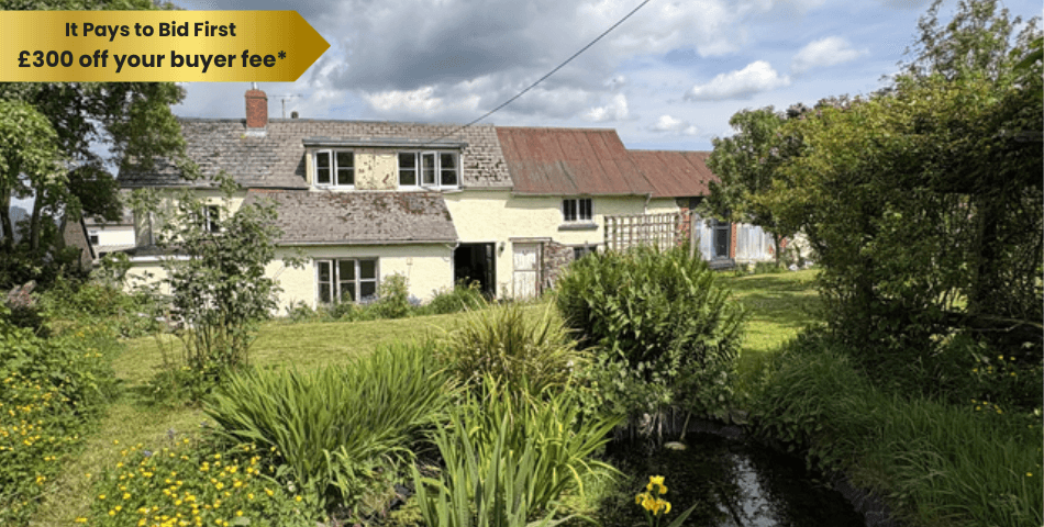 Property Image 0